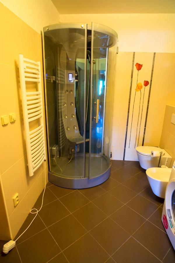 Statek Kachlirka Apartment Kosetice ภายนอก รูปภาพ